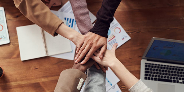 专业技术团队，高性价比